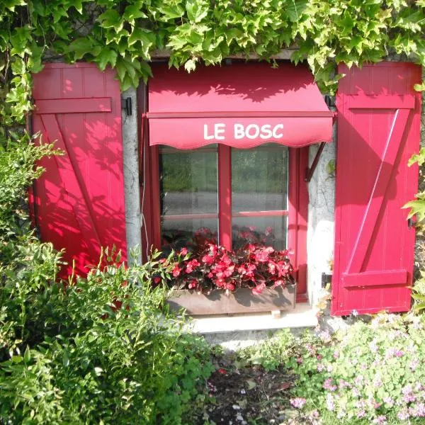 Le Bosc，位于Thézac的酒店
