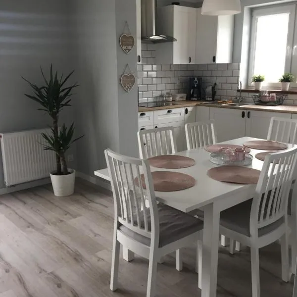 Apartament Julek klimatyzowany，位于Bieruń Stary的酒店