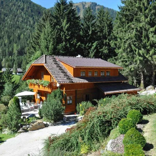 Chalet Styria，位于多内尔斯巴赫瓦尔德的酒店