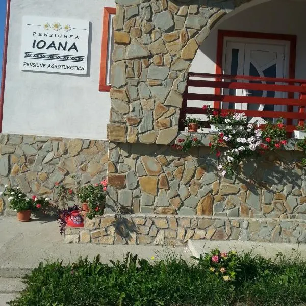 Pensiunea Agroturistica Ioana，位于Oeşti-Pămînteni的酒店