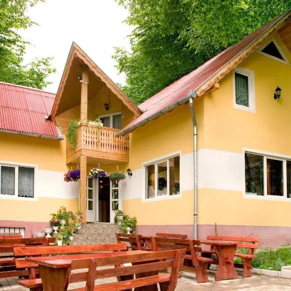 Perla Bálványos Gyöngye，位于巴尔瓦尼亚的酒店