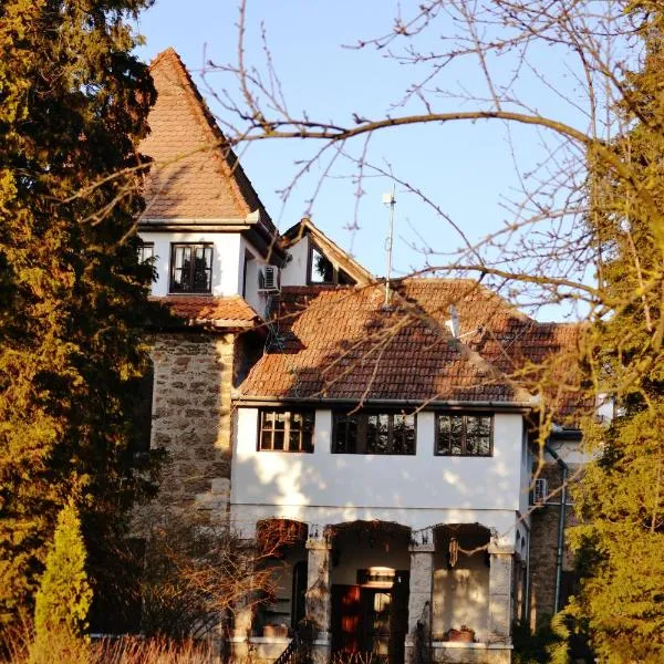 Villa Castelul Maria，位于Vărmaga的酒店