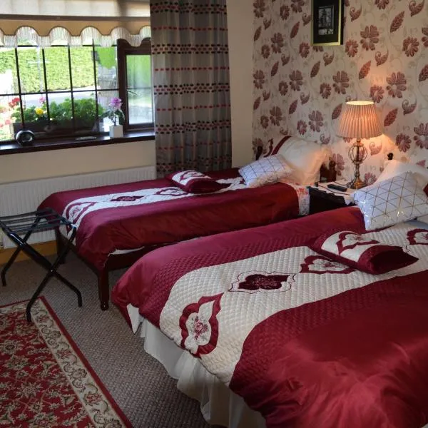 Weir view Bed and Breakfast，位于Foyle Bridge的酒店