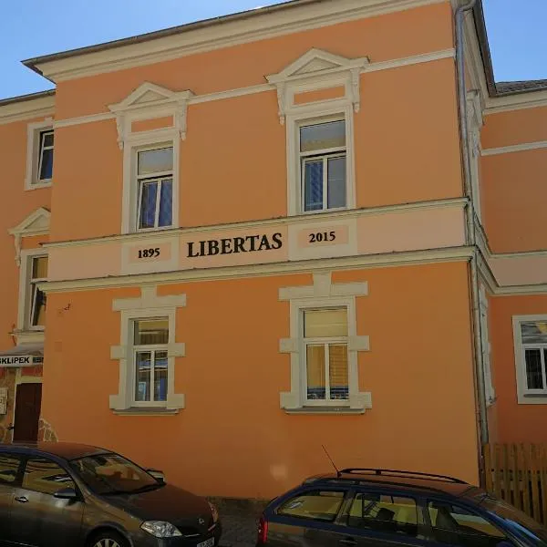 Penzion Libertas Mariánské Lázně，位于玛丽亚温泉的酒店