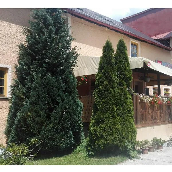 Penzion Daniela，位于霍尼普拉纳的酒店