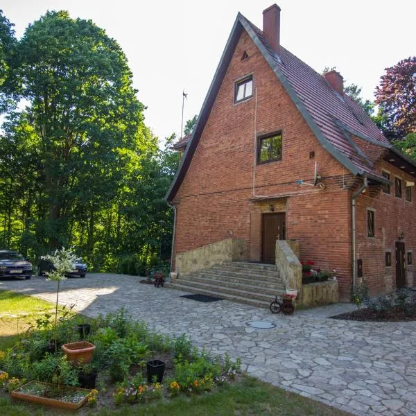 Willa Alkor，位于Drzeńsko的酒店