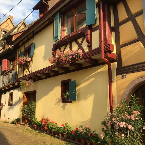 notre maison à Eguisheim，位于梅特泽拉的酒店