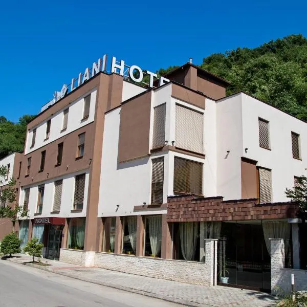 Hotel Liani，位于洛维奇的酒店