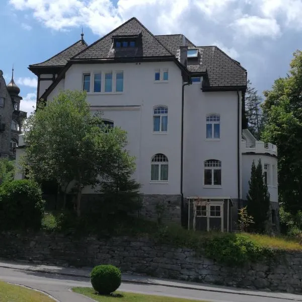 Stilvolle 3-Zimmer Wohnung in Jugendstilvilla，位于弗利姆斯的酒店