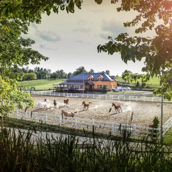 Hotel Horse Riding - Jezdecký Areál Tršice，位于Tršice的酒店