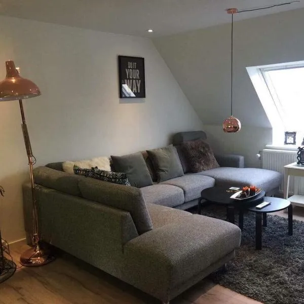 2 BR apartment on walk street，位于腓特烈港的酒店