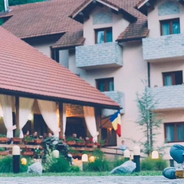 罗克宾馆，位于Sasca Română的酒店