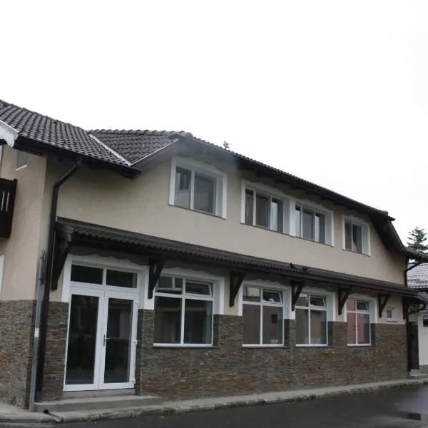 Casa Ianis，位于Tărlungeni的酒店