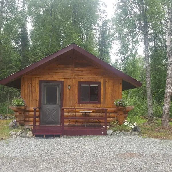 Talkeetna Fireweed Cabins，位于Trapper Creek的酒店