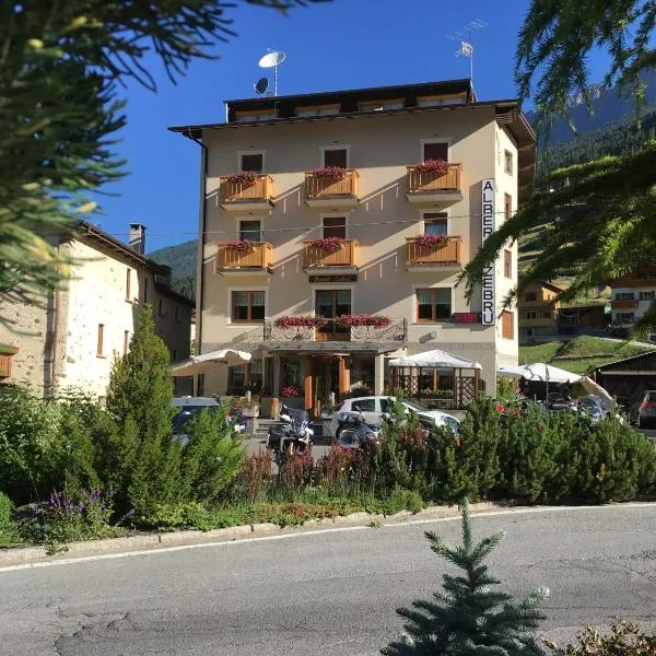 Hotel Zebrù，位于瓦尔富尔瓦的酒店