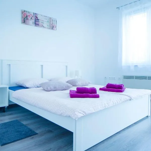 Apartman Višnja，位于斯诺基的酒店