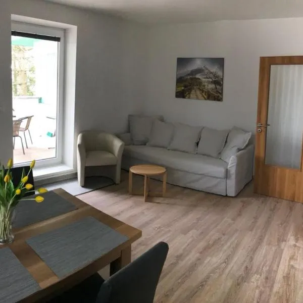 Apartmány Lipno 510，位于伏尔塔瓦河畔利普诺的酒店