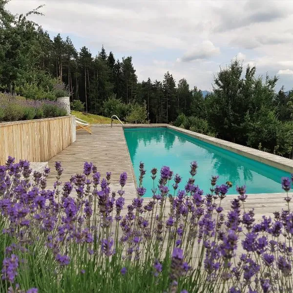 Lavender Hill, Eko Resort & Wellness，位于Polzela的酒店