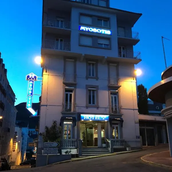 Hôtel Myosotis，位于卢尔德的酒店