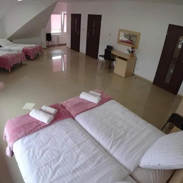 Apartamenty Kozienice，位于Sobolew的酒店