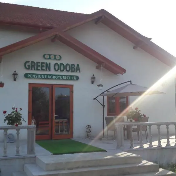 Pensiunea Agroturistica Green Odoba，位于默古拉的酒店