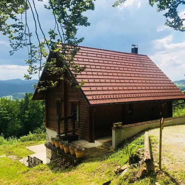 Romantic Cottage House，位于Žužemberk的酒店