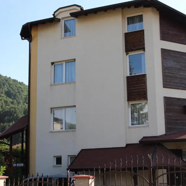 Hotel Radi，位于Gorna Dikanya的酒店