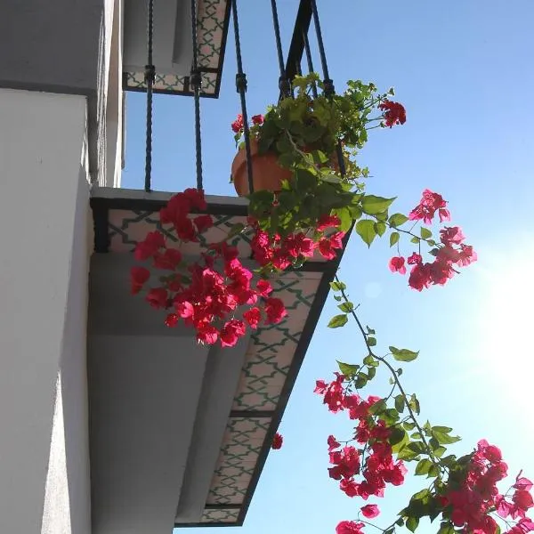 厄尔特兰克德尔马尔公寓式酒店，位于阿尔姆尼卡的酒店