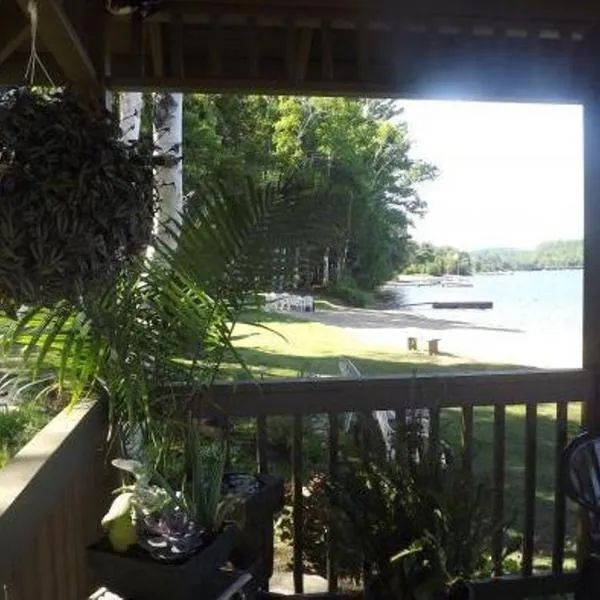 三叶草别墅酒店，位于Oxtongue Lake的酒店