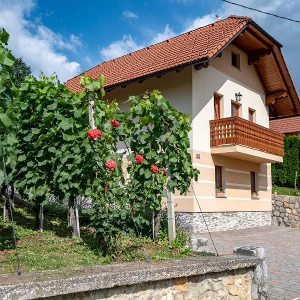 Vineyard Cottage Pod Piramido，位于Mali Lipovec的酒店