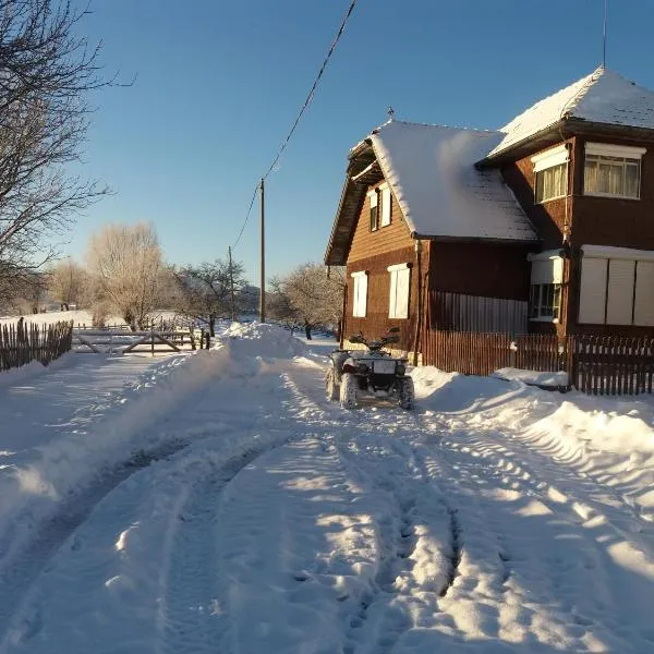 Casa Claudiu，位于默古拉的酒店