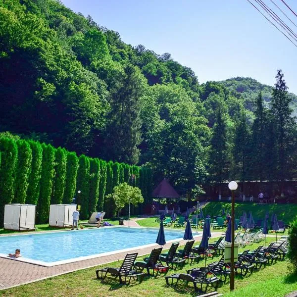 Valea lui Liman，位于Gladna Romînă的酒店