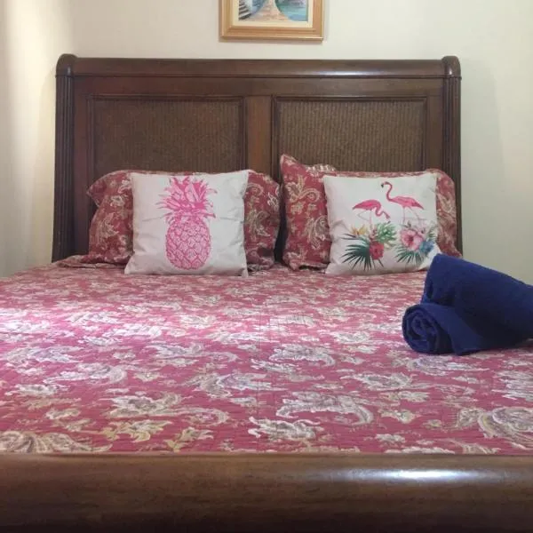 Apartamento Vista da Montanha，位于新弗里堡的酒店