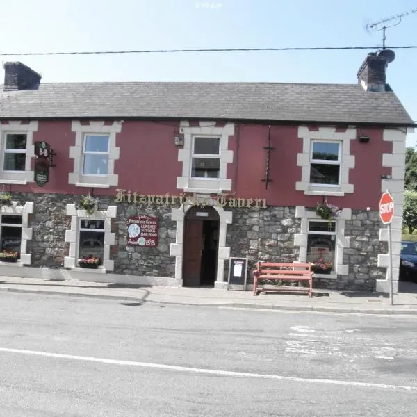 Fitzpatrick's Tavern and Hotel，位于Arvagh的酒店