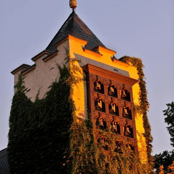 吕德斯海姆布鲁尔城堡酒店，位于Hallgarten的酒店