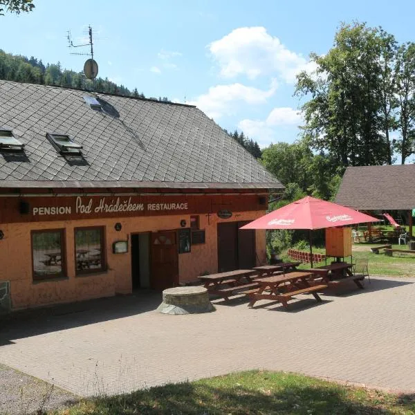 Pension Pod Hrádečkem，位于Höllenhäuser的酒店