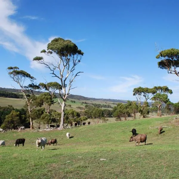 Back Valley Farmstay Bed and Breakfast，位于Bald Hills的酒店