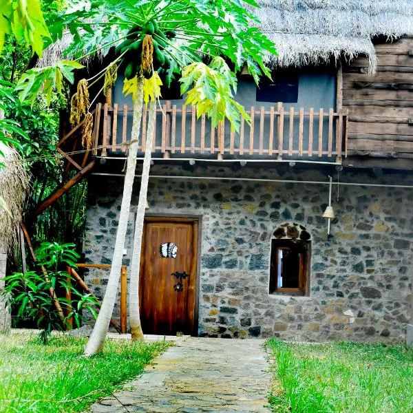 Lizard Safari Lodge，位于Suriyawewa的酒店