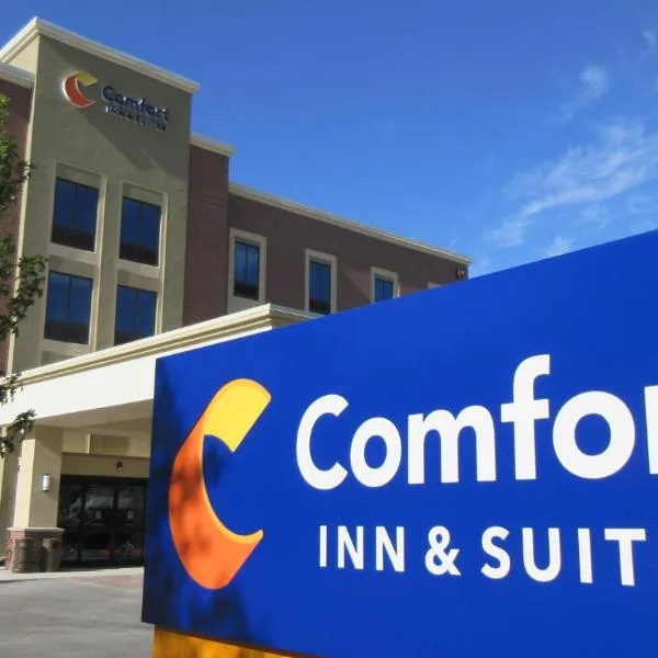 Comfort Inn & Suites Boise Airport，位于Garden City的酒店