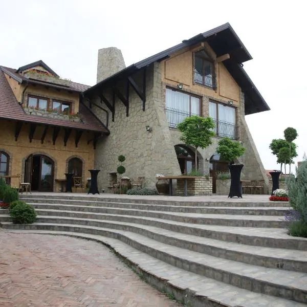 Garni Hotel Chicha - Winery ŠKRBIĆ，位于Crepaja的酒店