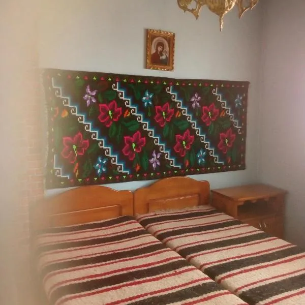 Casa Poienar，位于Şieu的酒店