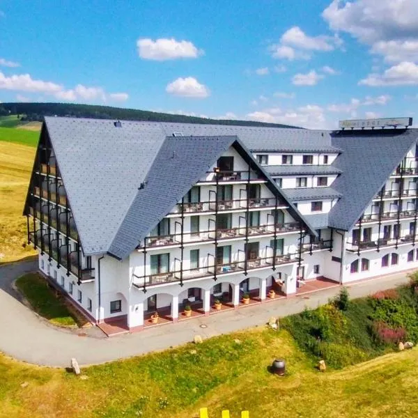 阿尔皮娜阿泊文森特山林小屋，位于Neudorf的酒店