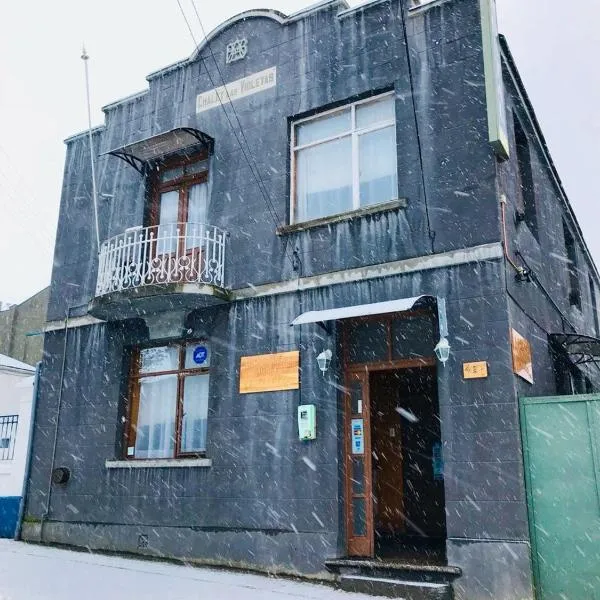 Hostal Chalet Las Violetas，位于蓬塔阿雷纳斯的酒店