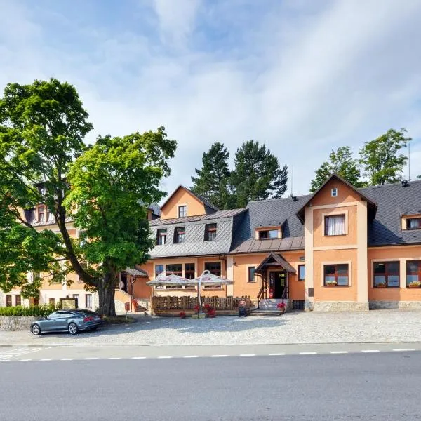 斯塔拉波斯塔酒店，位于Horní Lipová的酒店