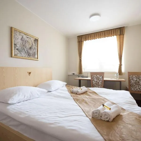 S酒店，位于Miklavž na Dravskem Polju的酒店