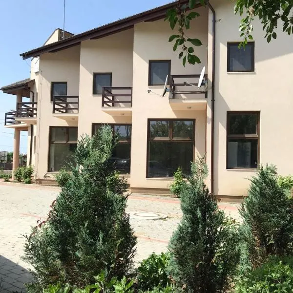 Pensiunea Casa Soarelui，位于Ostrovu Corbului的酒店