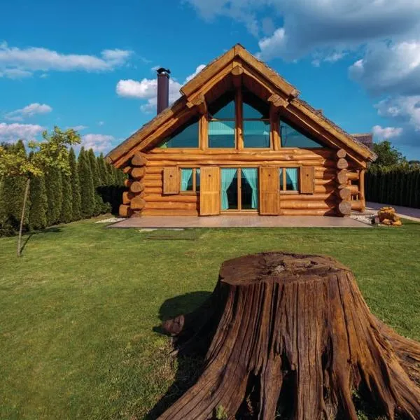 Baranjska eko drvena kuća，位于Kopačevo的酒店