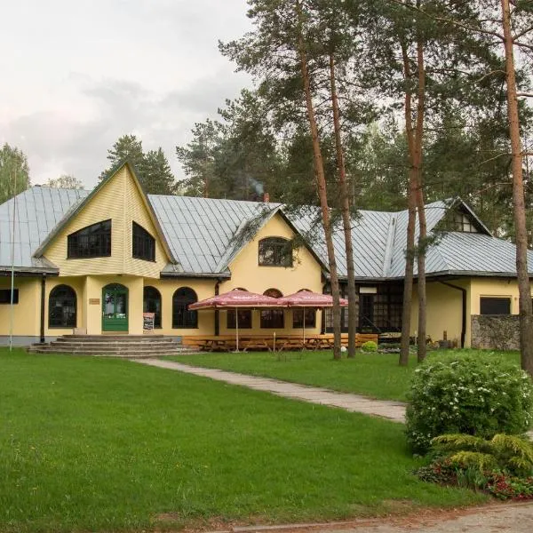 布林西斯汽车旅馆，位于Vecumnieki的酒店