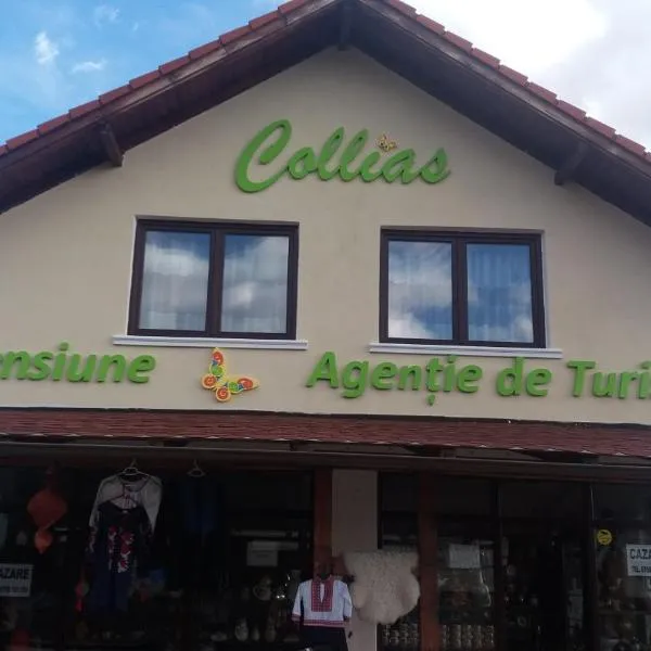 Collias，位于Slătioara的酒店