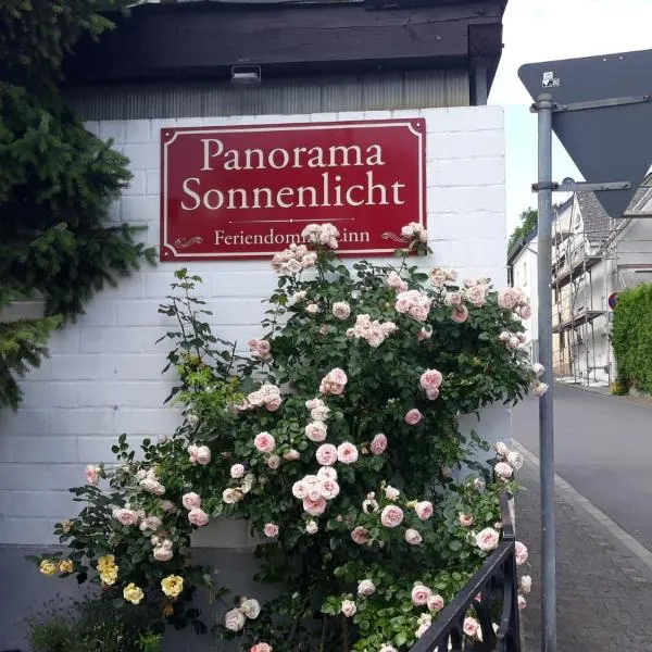 Panoramaapartement Sonnenlicht，位于Geilnau的酒店